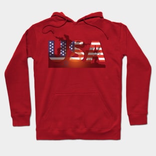 Veteran days USA Hoodie